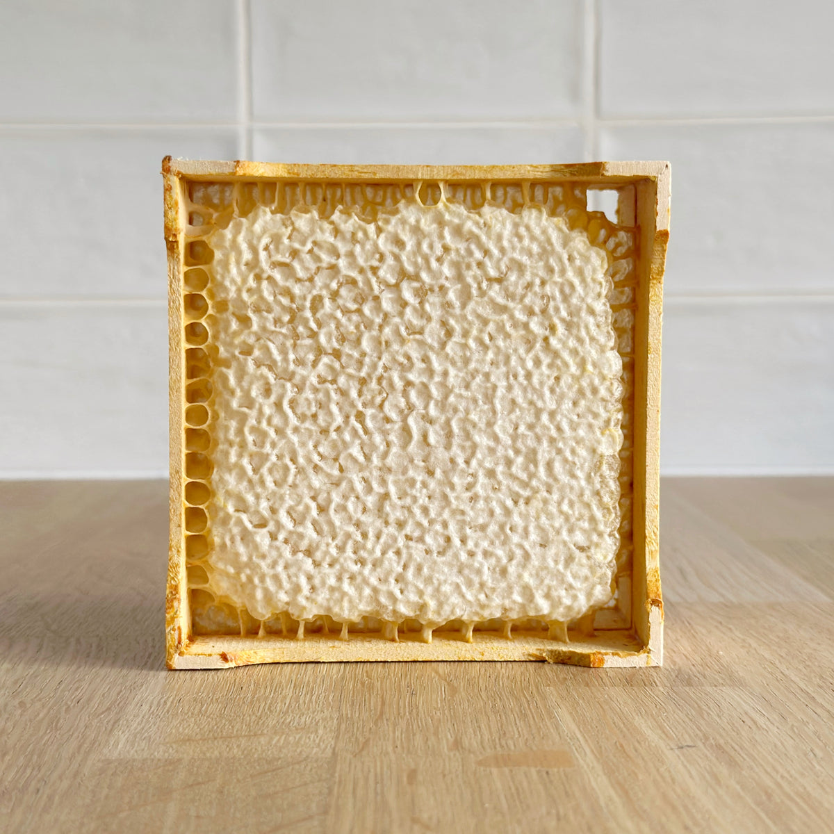 Honeycomb Section